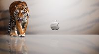 Apple MAC Tiger579149790 200x110 - Apple MAC Tiger - Tiger, iPhone, Apple